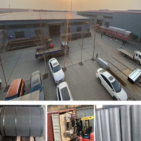 Hebei Guixiang International Trade Co., Ltd. ligne de production du fabricant