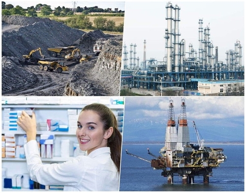 Latest company news about Au-delà des bases: applications innovantes du treillis métallique en acier inoxydable dans les industries modernes